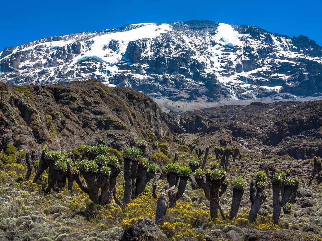 Machame route